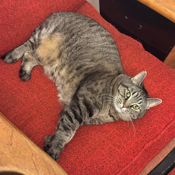 Ritual Treasures - Live with Dani - Picture 6 of 8